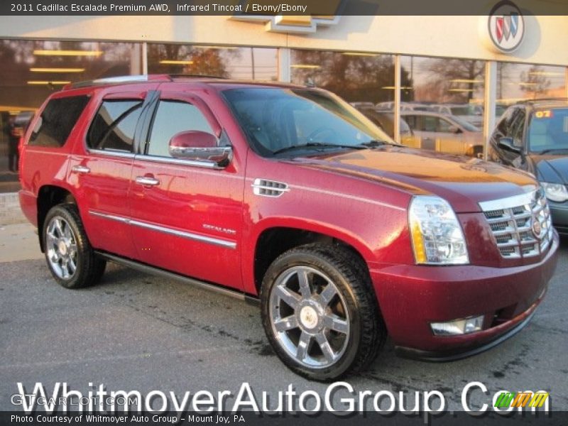 Infrared Tincoat / Ebony/Ebony 2011 Cadillac Escalade Premium AWD