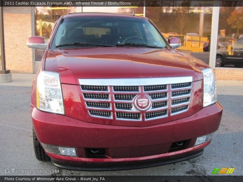 Infrared Tincoat / Ebony/Ebony 2011 Cadillac Escalade Premium AWD