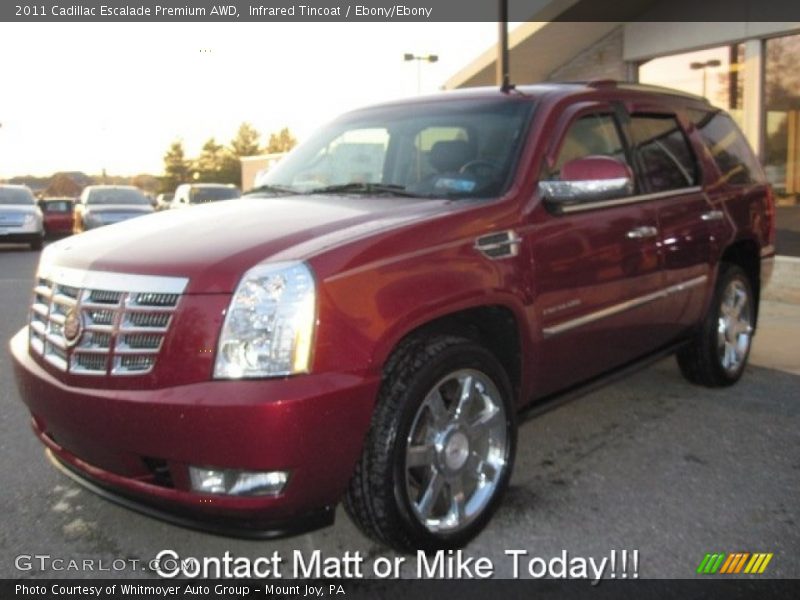 Infrared Tincoat / Ebony/Ebony 2011 Cadillac Escalade Premium AWD