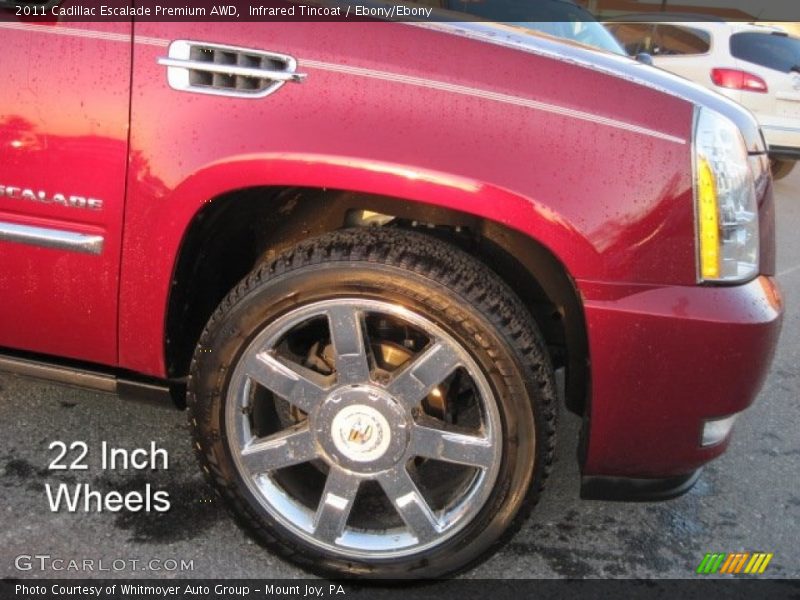 Infrared Tincoat / Ebony/Ebony 2011 Cadillac Escalade Premium AWD