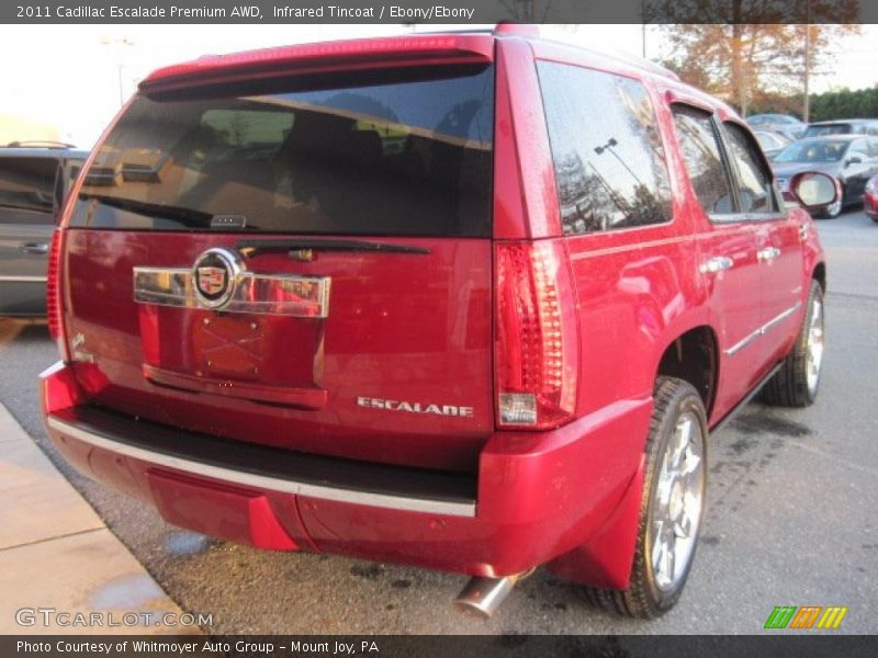 Infrared Tincoat / Ebony/Ebony 2011 Cadillac Escalade Premium AWD