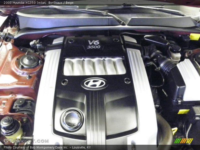 Bordeaux / Beige 2003 Hyundai XG350 Sedan