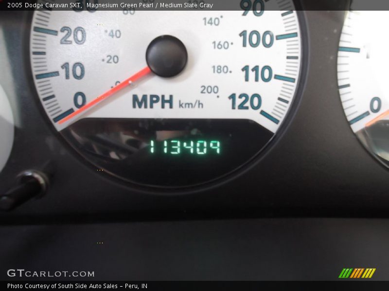 Magnesium Green Pearl / Medium Slate Gray 2005 Dodge Caravan SXT