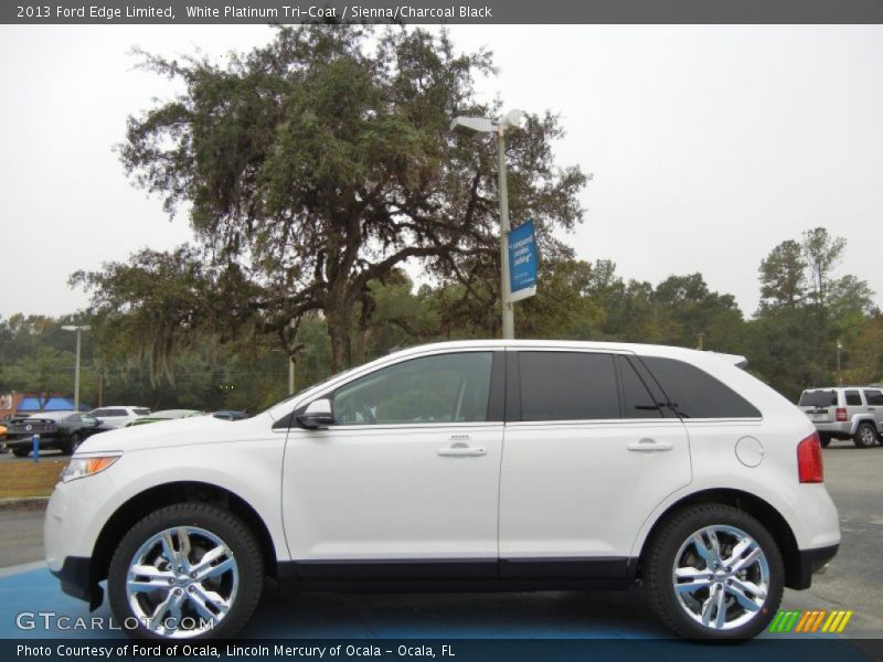 White Platinum Tri-Coat / Sienna/Charcoal Black 2013 Ford Edge Limited