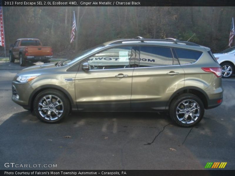 Ginger Ale Metallic / Charcoal Black 2013 Ford Escape SEL 2.0L EcoBoost 4WD