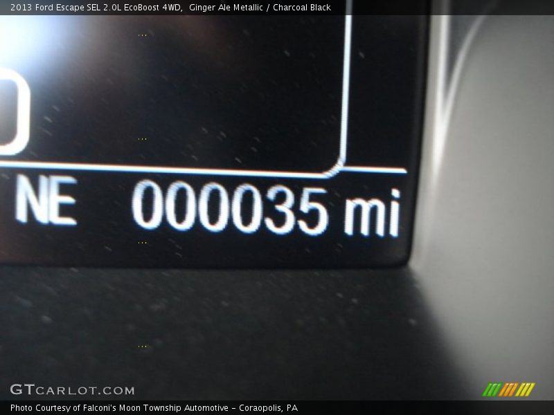 Ginger Ale Metallic / Charcoal Black 2013 Ford Escape SEL 2.0L EcoBoost 4WD