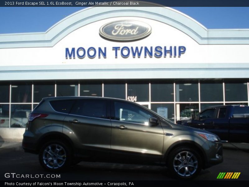 Ginger Ale Metallic / Charcoal Black 2013 Ford Escape SEL 1.6L EcoBoost