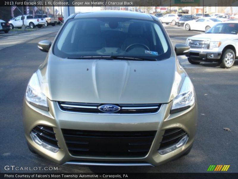Ginger Ale Metallic / Charcoal Black 2013 Ford Escape SEL 1.6L EcoBoost