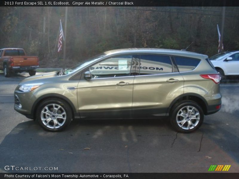 Ginger Ale Metallic / Charcoal Black 2013 Ford Escape SEL 1.6L EcoBoost