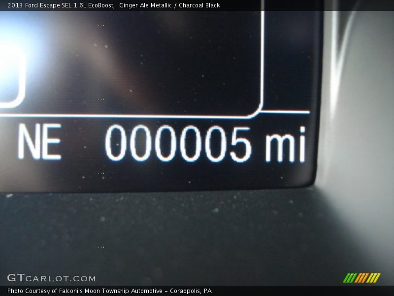 Ginger Ale Metallic / Charcoal Black 2013 Ford Escape SEL 1.6L EcoBoost