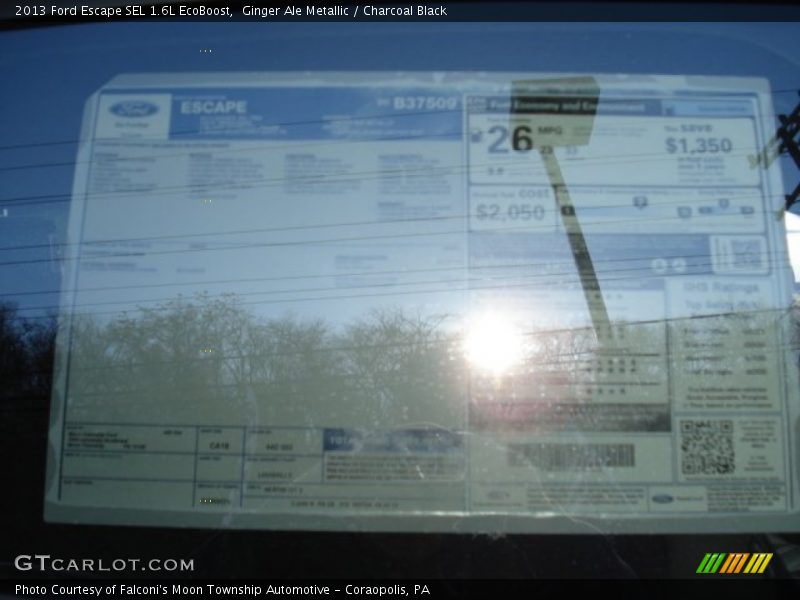 Ginger Ale Metallic / Charcoal Black 2013 Ford Escape SEL 1.6L EcoBoost