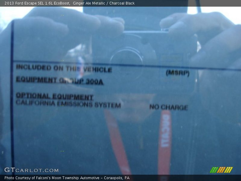 Ginger Ale Metallic / Charcoal Black 2013 Ford Escape SEL 1.6L EcoBoost