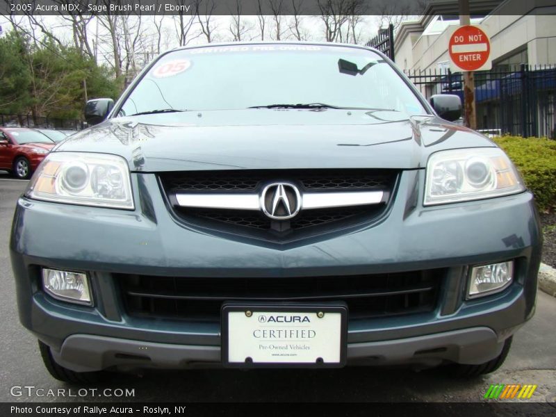 Sage Brush Pearl / Ebony 2005 Acura MDX