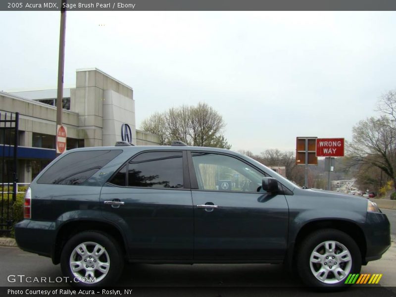 Sage Brush Pearl / Ebony 2005 Acura MDX