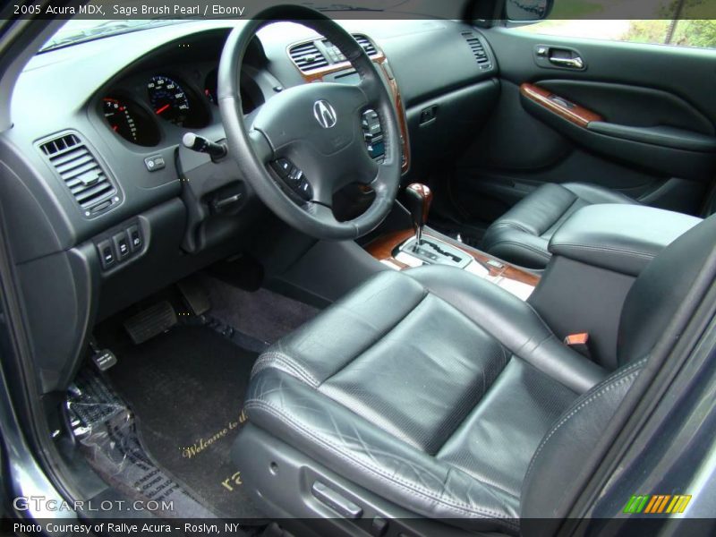 Sage Brush Pearl / Ebony 2005 Acura MDX
