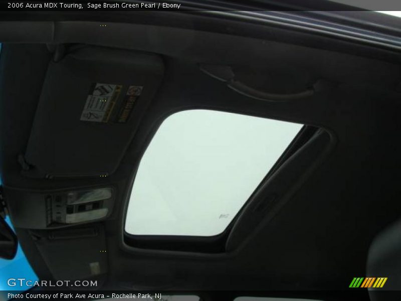 Sage Brush Green Pearl / Ebony 2006 Acura MDX Touring