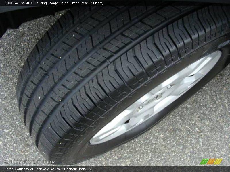 Sage Brush Green Pearl / Ebony 2006 Acura MDX Touring