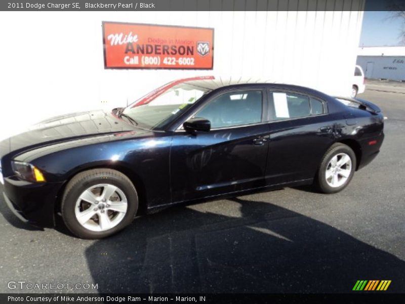 Blackberry Pearl / Black 2011 Dodge Charger SE