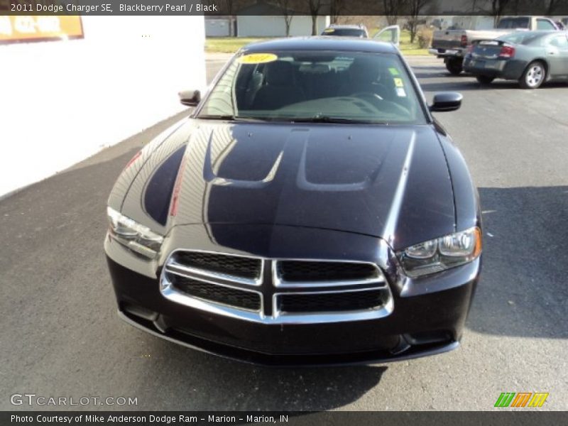 Blackberry Pearl / Black 2011 Dodge Charger SE