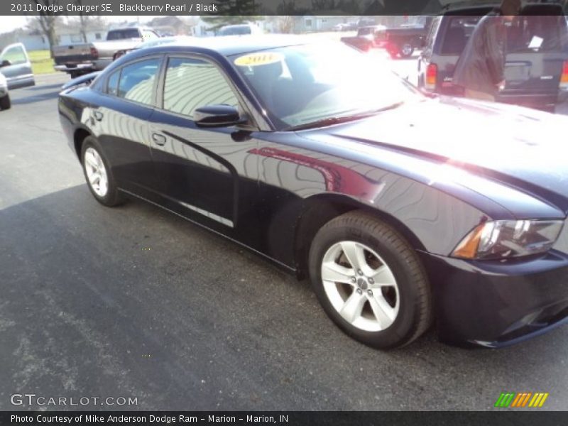 Blackberry Pearl / Black 2011 Dodge Charger SE