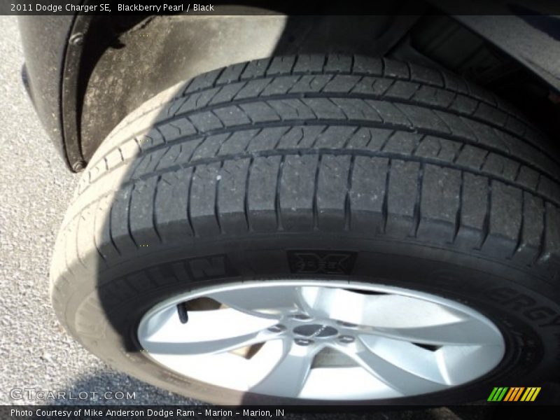 Blackberry Pearl / Black 2011 Dodge Charger SE