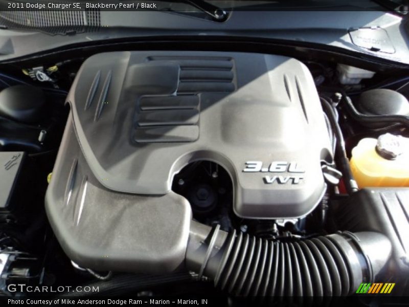 Blackberry Pearl / Black 2011 Dodge Charger SE