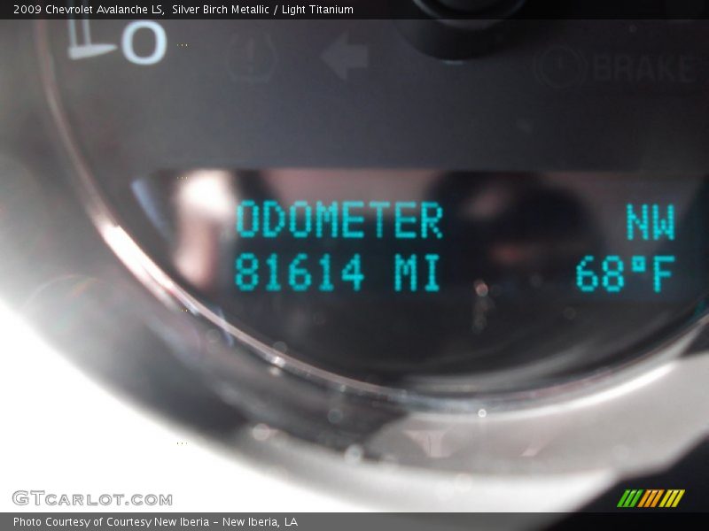 Silver Birch Metallic / Light Titanium 2009 Chevrolet Avalanche LS