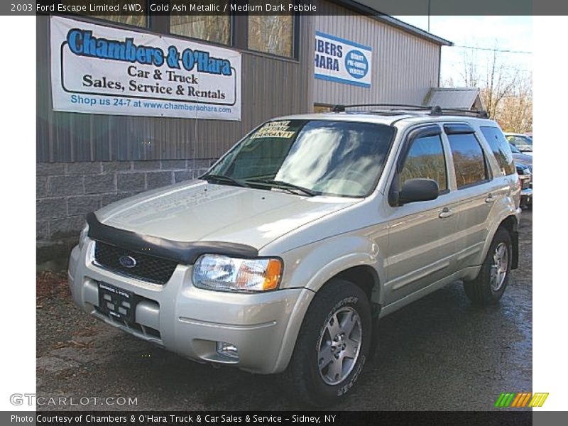 Gold Ash Metallic / Medium Dark Pebble 2003 Ford Escape Limited 4WD