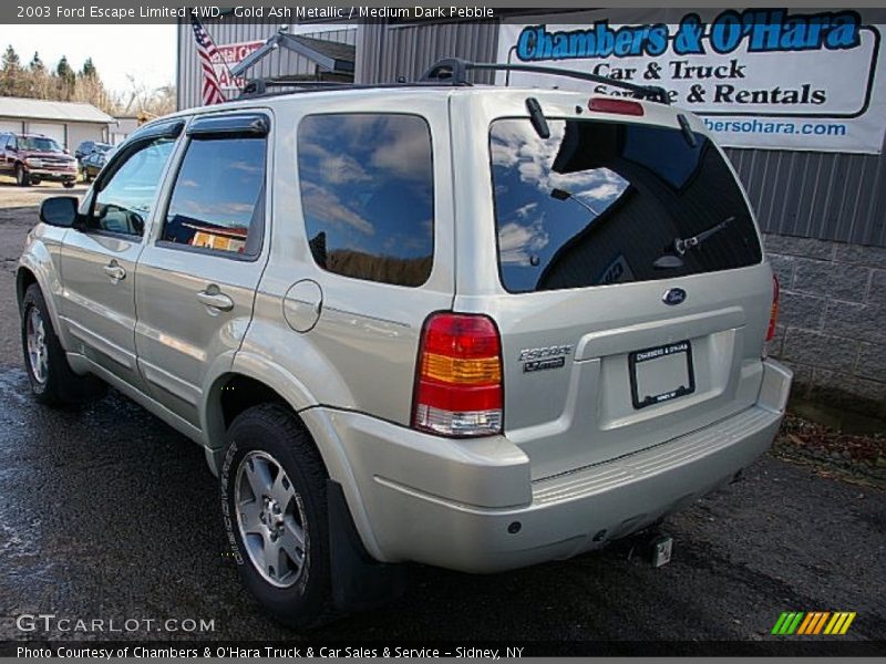 Gold Ash Metallic / Medium Dark Pebble 2003 Ford Escape Limited 4WD