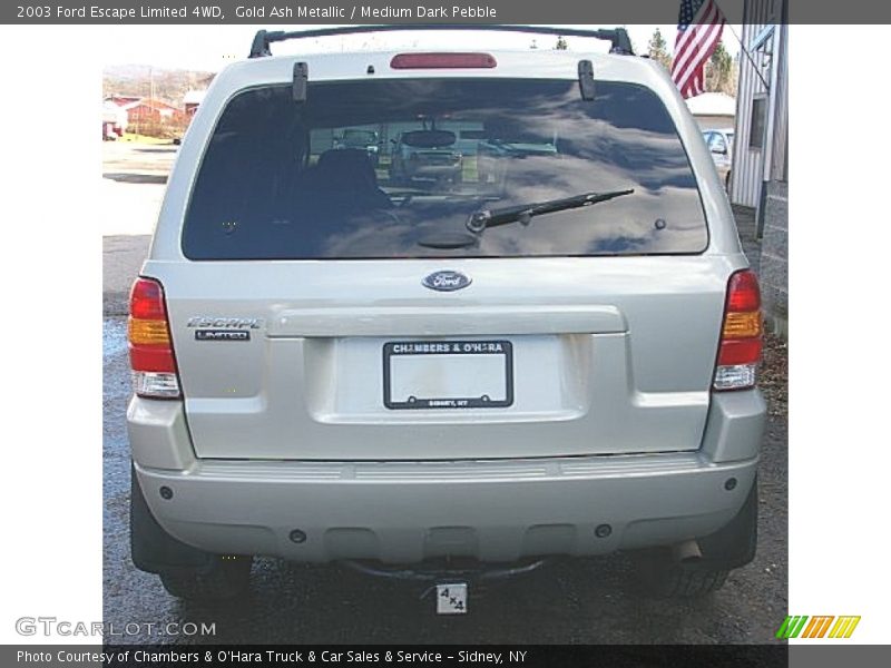 Gold Ash Metallic / Medium Dark Pebble 2003 Ford Escape Limited 4WD