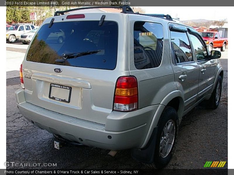 Gold Ash Metallic / Medium Dark Pebble 2003 Ford Escape Limited 4WD