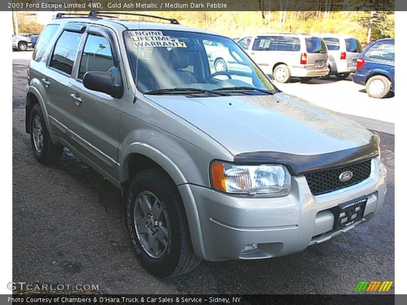 Gold Ash Metallic / Medium Dark Pebble 2003 Ford Escape Limited 4WD