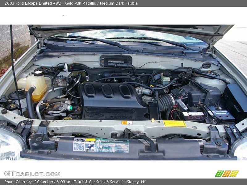 Gold Ash Metallic / Medium Dark Pebble 2003 Ford Escape Limited 4WD