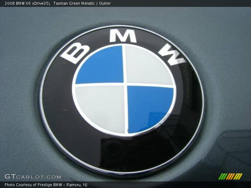 Tasman Green Metallic / Oyster 2008 BMW X6 xDrive35i