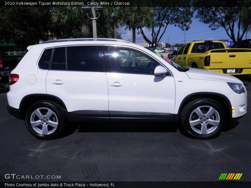 Candy White / Charcoal 2010 Volkswagen Tiguan Wolfsburg Edition