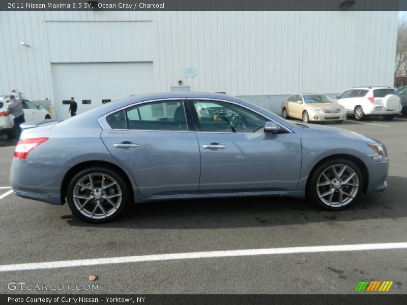 Ocean Gray / Charcoal 2011 Nissan Maxima 3.5 SV