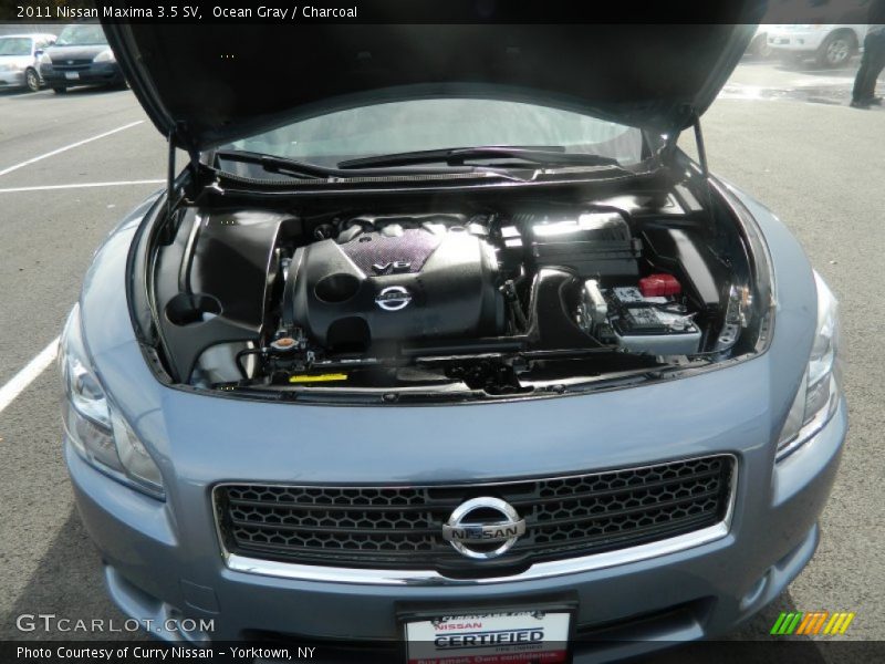 Ocean Gray / Charcoal 2011 Nissan Maxima 3.5 SV
