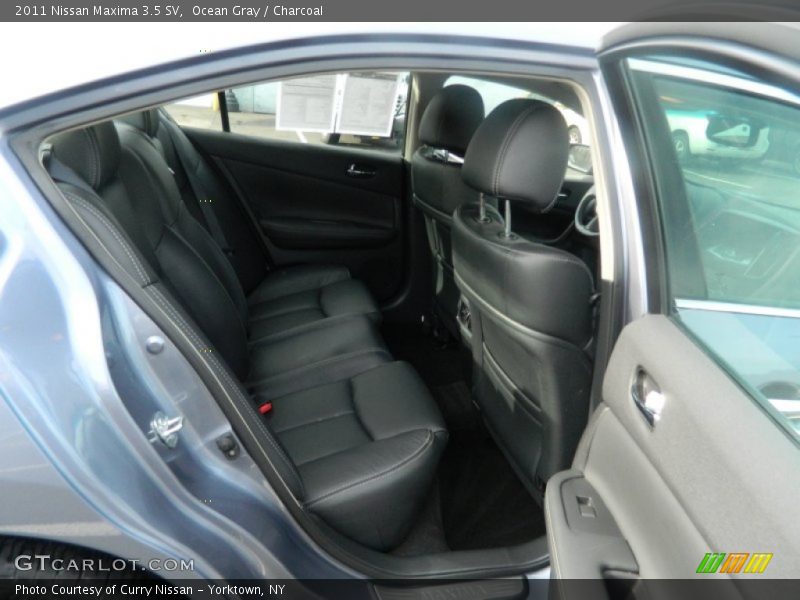 Ocean Gray / Charcoal 2011 Nissan Maxima 3.5 SV