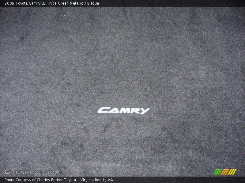 Aloe Green Metallic / Bisque 2009 Toyota Camry LE