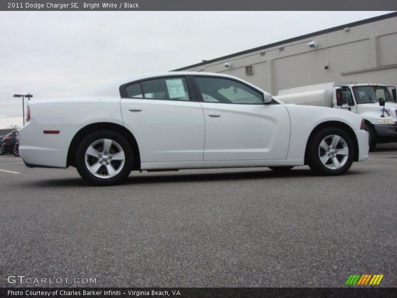 Bright White / Black 2011 Dodge Charger SE