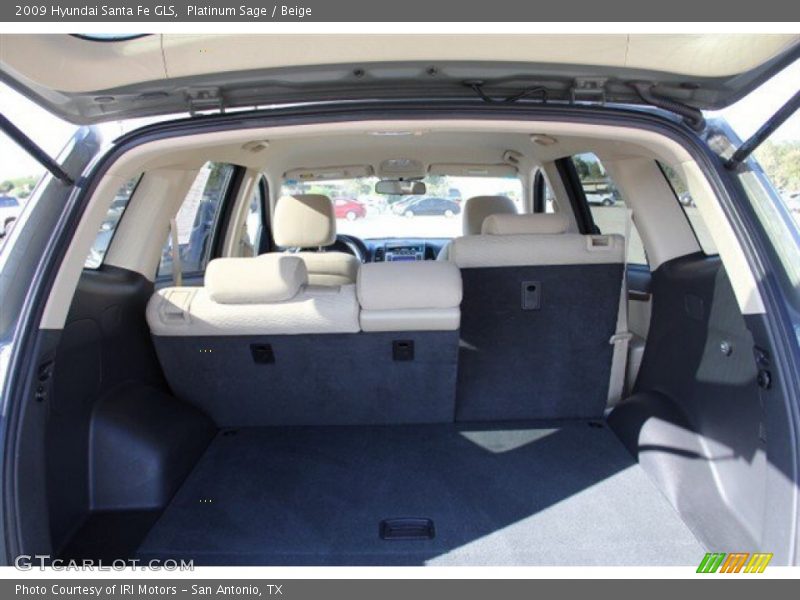 Platinum Sage / Beige 2009 Hyundai Santa Fe GLS