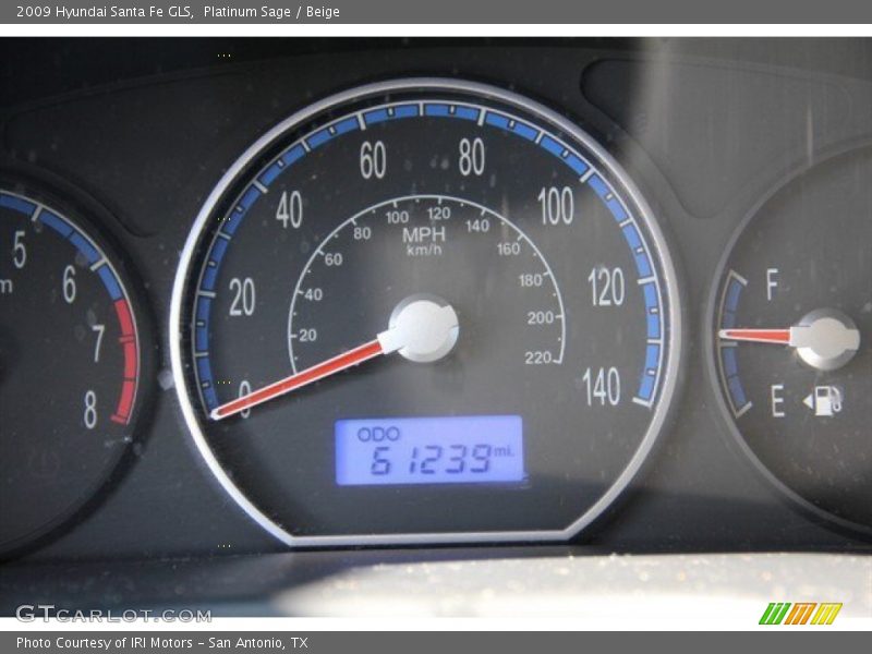 Platinum Sage / Beige 2009 Hyundai Santa Fe GLS