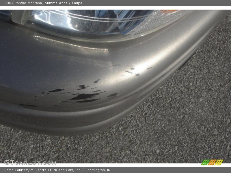 Summit White / Taupe 2004 Pontiac Montana