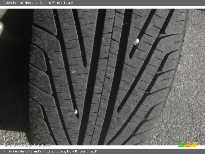 Summit White / Taupe 2004 Pontiac Montana