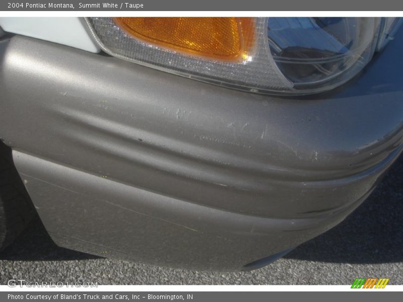 Summit White / Taupe 2004 Pontiac Montana