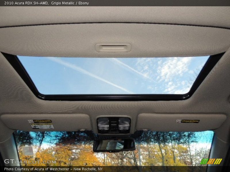 Grigio Metallic / Ebony 2010 Acura RDX SH-AWD
