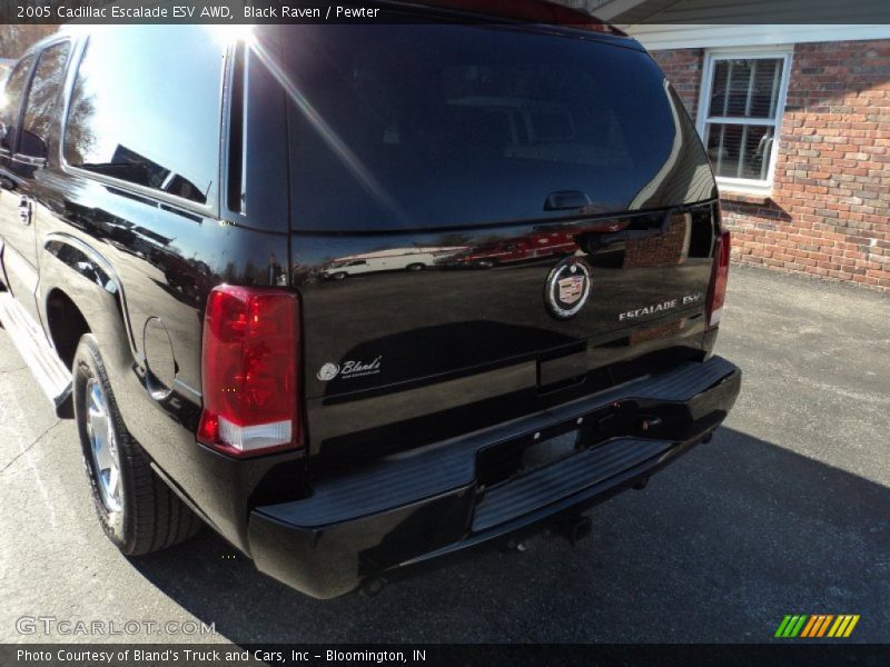 Black Raven / Pewter 2005 Cadillac Escalade ESV AWD