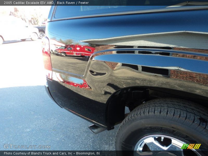 Black Raven / Pewter 2005 Cadillac Escalade ESV AWD