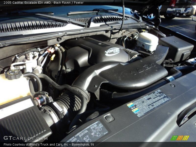 Black Raven / Pewter 2005 Cadillac Escalade ESV AWD