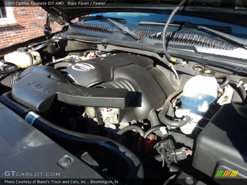 Black Raven / Pewter 2005 Cadillac Escalade ESV AWD